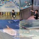 GR(칠곡군)-[석적로]-하-2 | 대구근교 아이랑 가볼만한곳 수족관 아쿠아리움카페 칠곡 러키더키