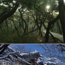 한국 [오악순례＜1＞ | 동악 토함산] 東은 日과 木의 합성어 동악 일출로 만물의 생동 알려 이미지