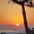 약속의 바다 이미지