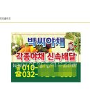 박씨야채