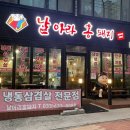 날아라홍돼지 이미지