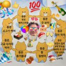 공수처, '김성훈 구속영장 반려' 검찰총장·대검차장 수사 착수 이미지