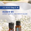 블루아로마 - 군산시 칠성로 143 | 블루아로마
