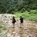 설악호텔 미송 이미지