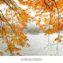 고대1094 이미지