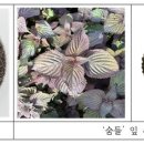 숨들 이미지