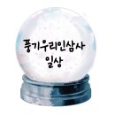 우리인삼사