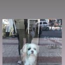 꽃남아 사랑해 이미지