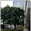 [ACC브런치콘서트] 입과손스튜디오의 창작판소리 ‘스토리 인 아시아’ | 20231114 베세토 심천4 : 판소리 <아시아 스토리> 입과손 스튜디오, 심천 만상천지 극장 * 2023 베세토...