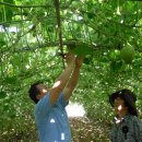 가야농장 이미지