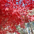 구리역광장 이미지