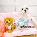 디어뚜뚜 이미지