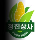 정진상사