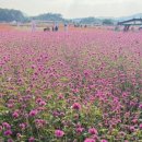 복담은원조뼈다귀감자탕 이미지