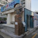 더 퍼스트 수영장 | 생애 첫 수영 도전 🏊‍♂️