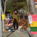 부개도서관 이미지