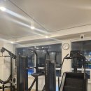 하이브 PT 이미지