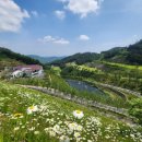 일레븐스크린골프 이미지