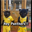 Welcome our Panthers back on campus! 이미지