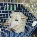 함안면사무소 이미지