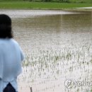 다시 굵어진 장맛비…수도권은 밤, 이외는 내일 낮까지 비 이미지