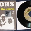 The Doors - &#34;Love Her Madly&#34; &amp; &#34;Riders On The Storm&#34;| 이미지