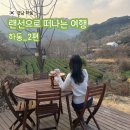 25.3.23~24 랜선으로 떠나는 여행 : 하동 여행 일지_2편 (혜성식당, 도심다원, 순천 오알로)