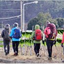 시외버스터미널(터미널사거리) 이미지