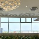 [심학산 카페] 요즘 핫한 파주 신상카페 마운풀리(Mountpullee) &amp; 심학산 들꽃쌈밥 점심 코스 후기