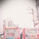 🇯🇵3박 4일 일본 마쓰야마 자매 여행 후기 (3) - 3일차 / 도고온천, 지브리샵, 리락쿠마온천, 봇짱시계탑...