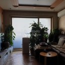 독일공인중개사사무소 이미지