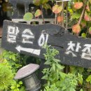 웰빙트리(주) 이미지