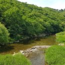 드라마타운키즈빌라 이미지