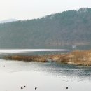 동명지 수변생태공원 1주차장 이미지