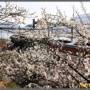 원동농장 이미지