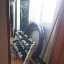 조례신대길 이미지