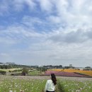 목원(농협경제지주(주)안성팜랜드) | 10월 가볼 만한 곳 추천 | 안성팜랜드 가을 풍경 &amp; 현재 근황 후기