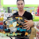 창원강아지분양 고양이분양 도그마루 이미지