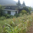 전원부동산중개사무소 이미지