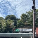 위고짐(WEGO GYM) | [251007-8] 東京ガール의 올해 3번째 도쿄여행 DAY 5-6😻💜 (하라주쿠, 시부야, 긴자, 마루노우치...