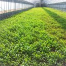 한동농장 이미지