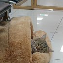 꿈속에서 이미지