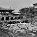 수원-1910 이미지