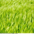 인화농장 이미지