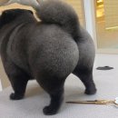 랄라펫살롱 이미지