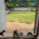 물안개민박 이미지