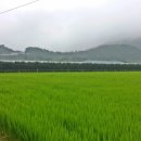 영천시북안면보건지소 이미지