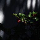 청담숲유치원 이미지