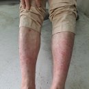 상송호두농원
