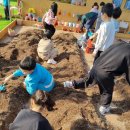 강구초등학교병설유치원 이미지